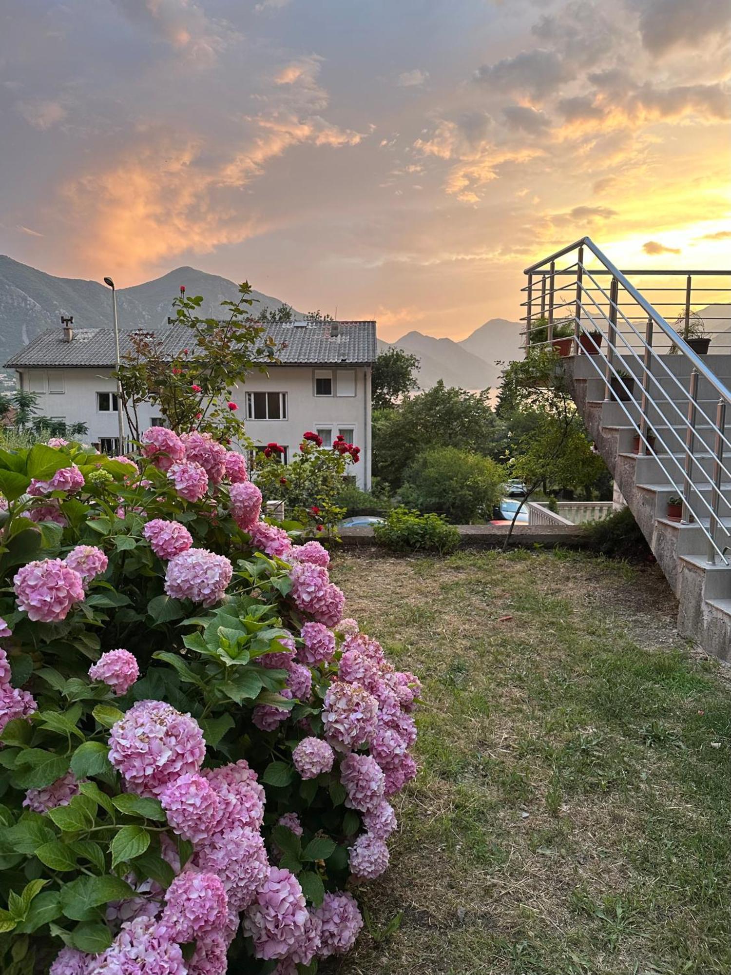 Sunny Apartment Kotor Dış mekan fotoğraf