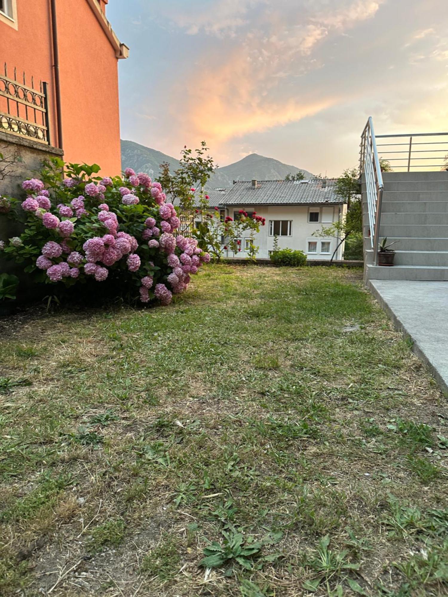 Sunny Apartment Kotor Dış mekan fotoğraf